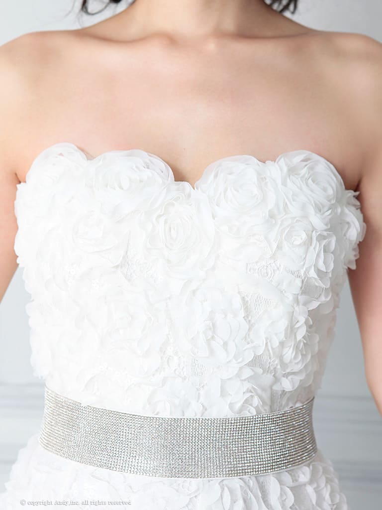 Andy アンディ 高級キャバドレス