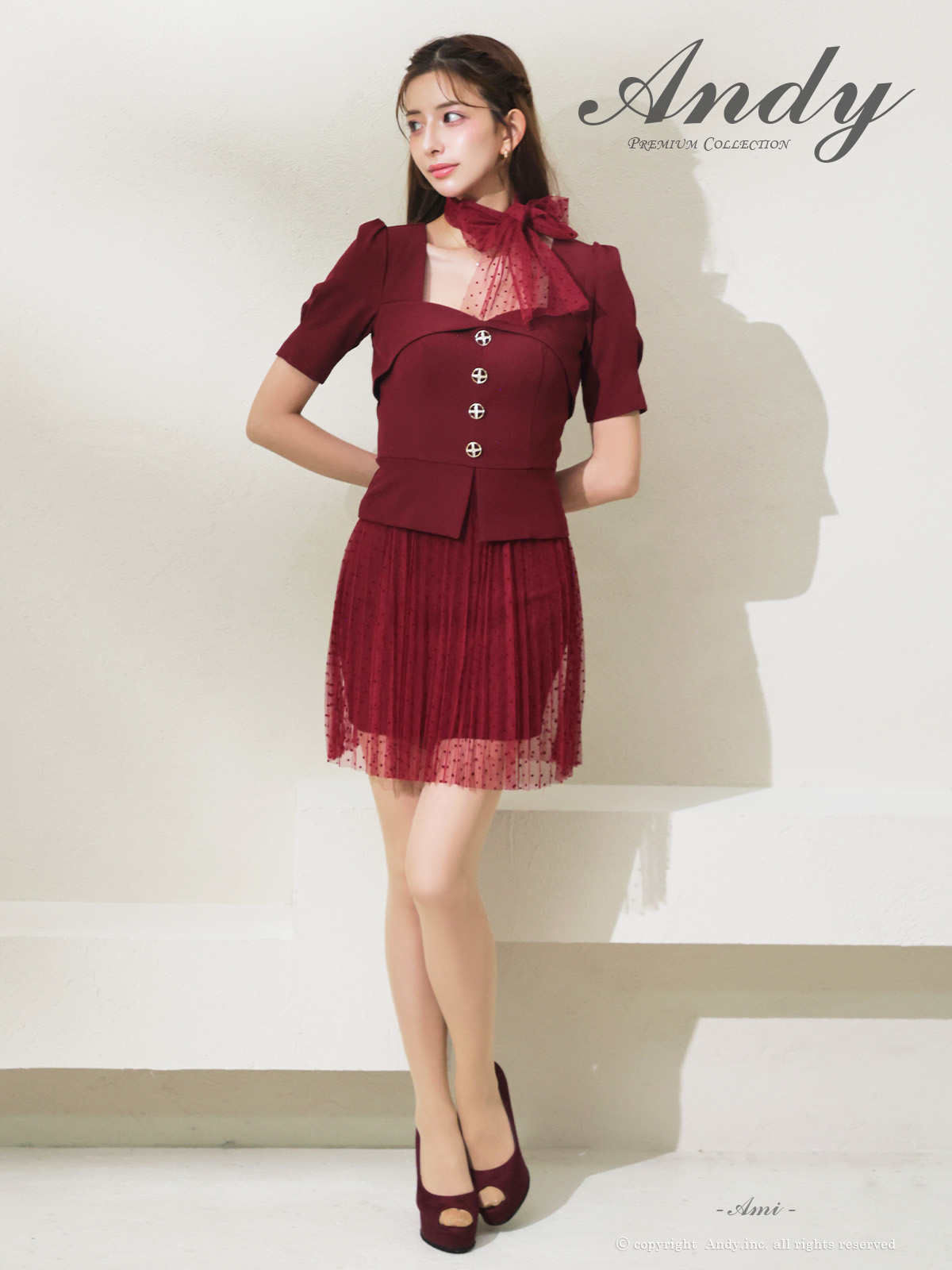 Andy アンディ 高級キャバドレス