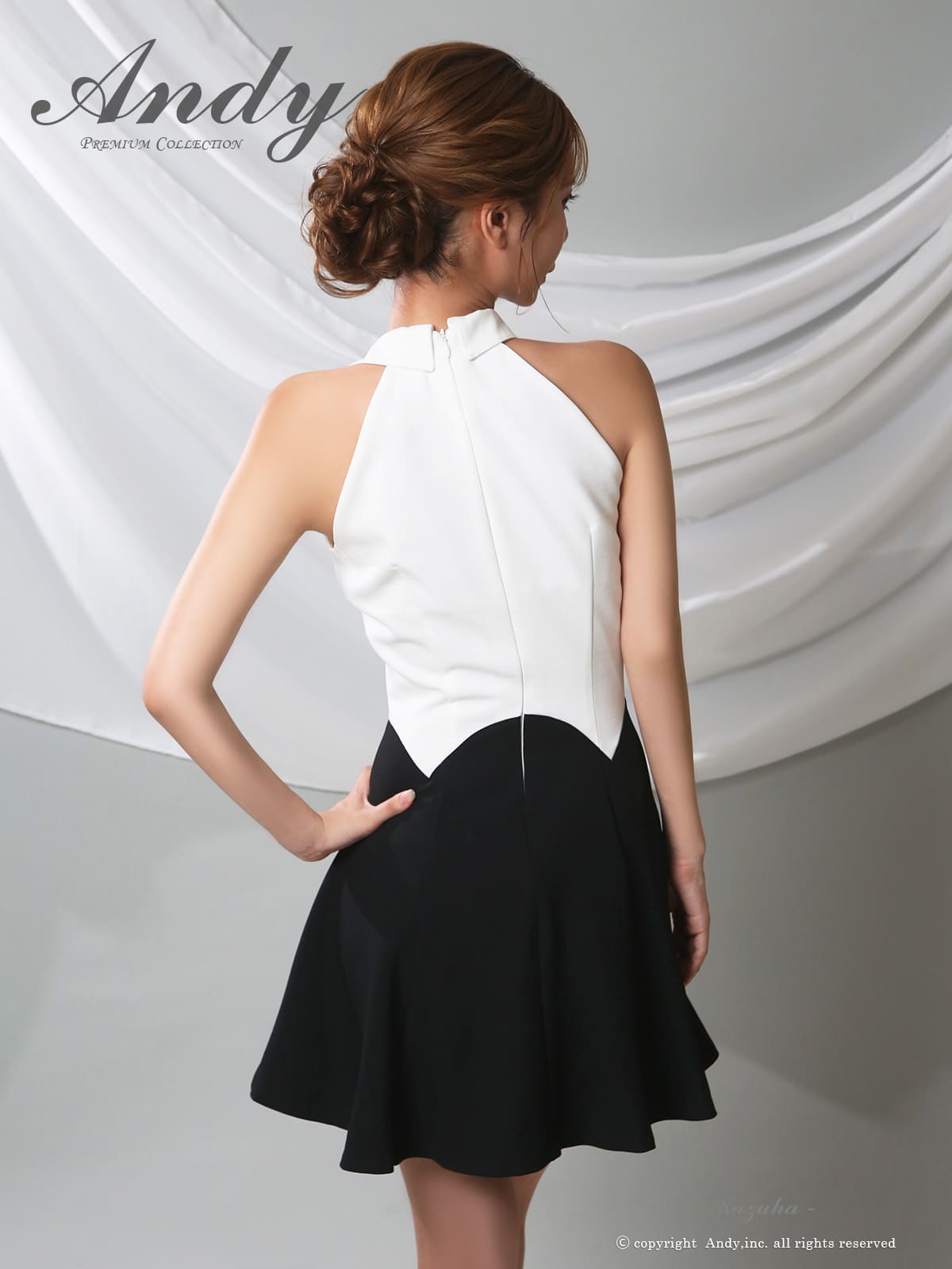 Andy アンディ 高級キャバドレス