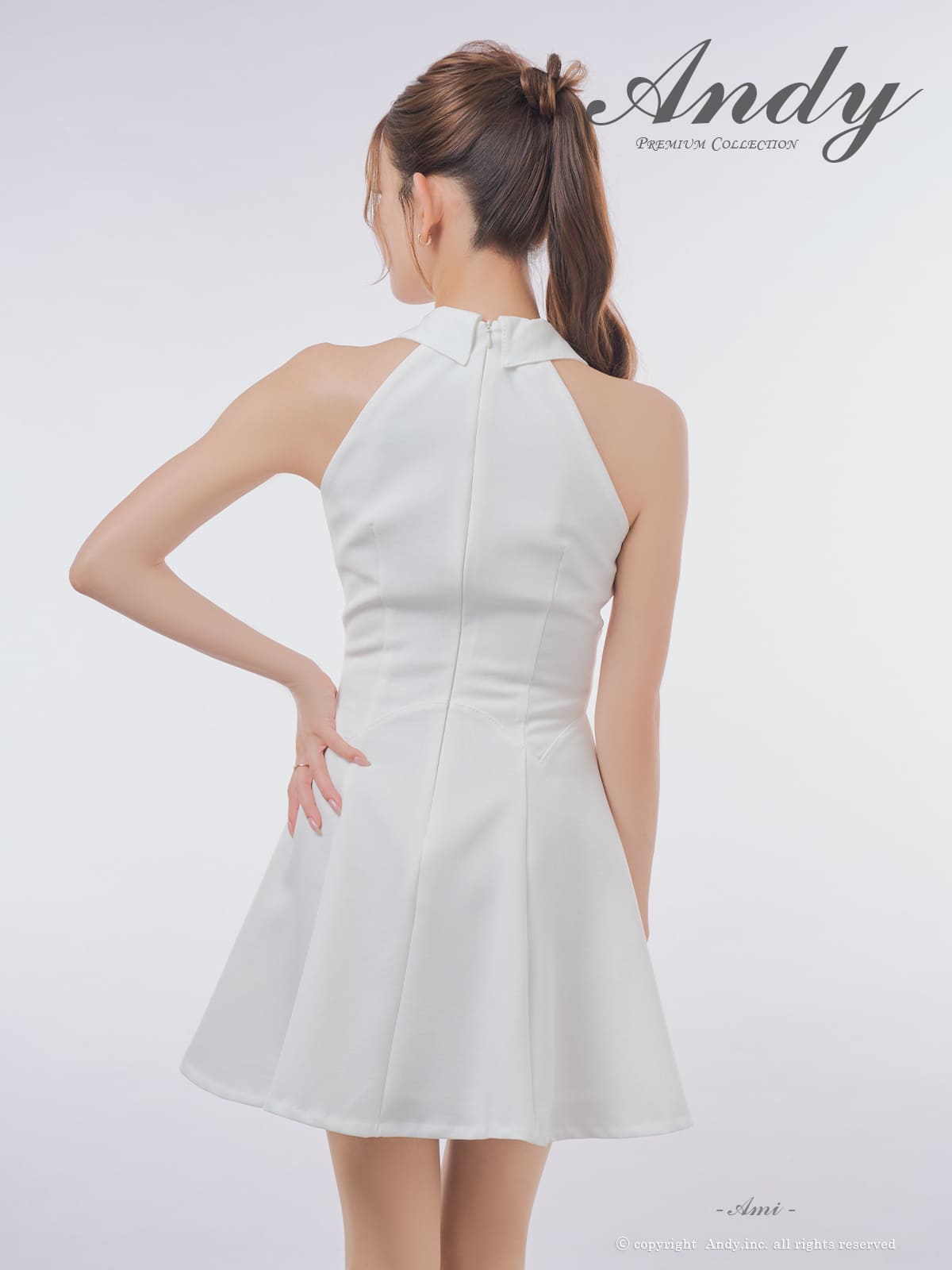 Andy アンディ 高級キャバドレス
