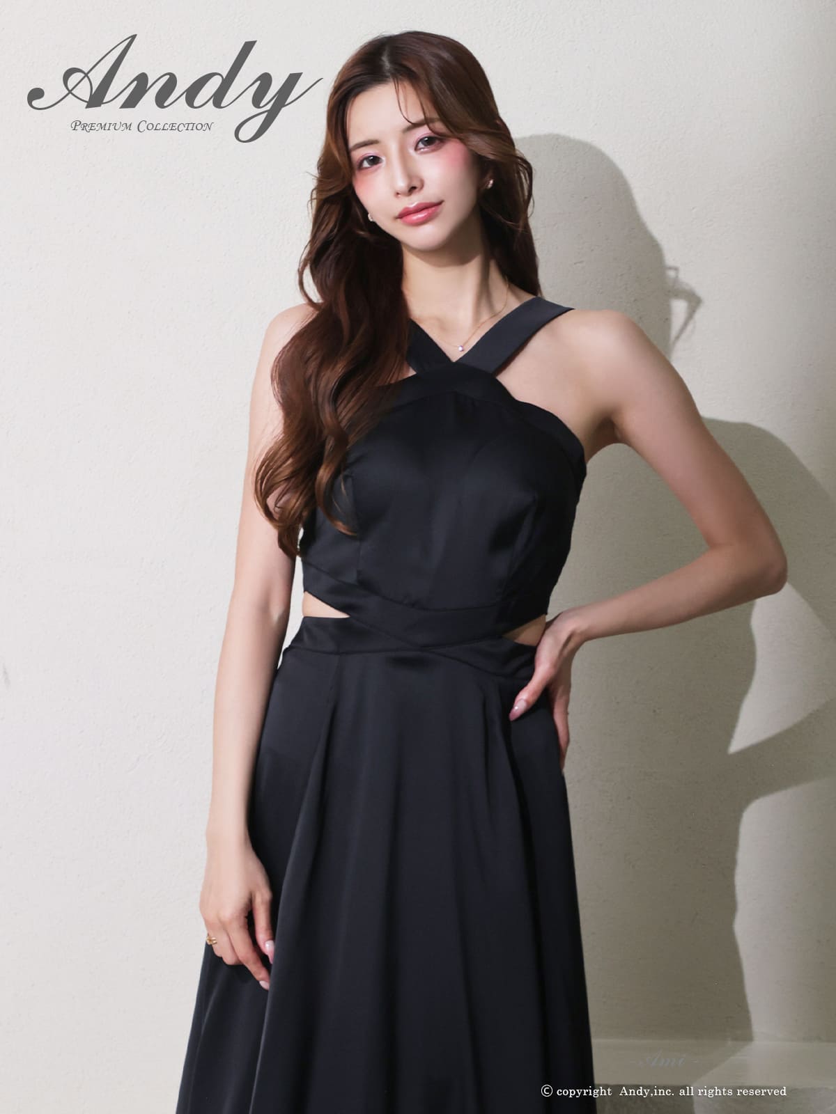 Andy アンディ 高級キャバドレス