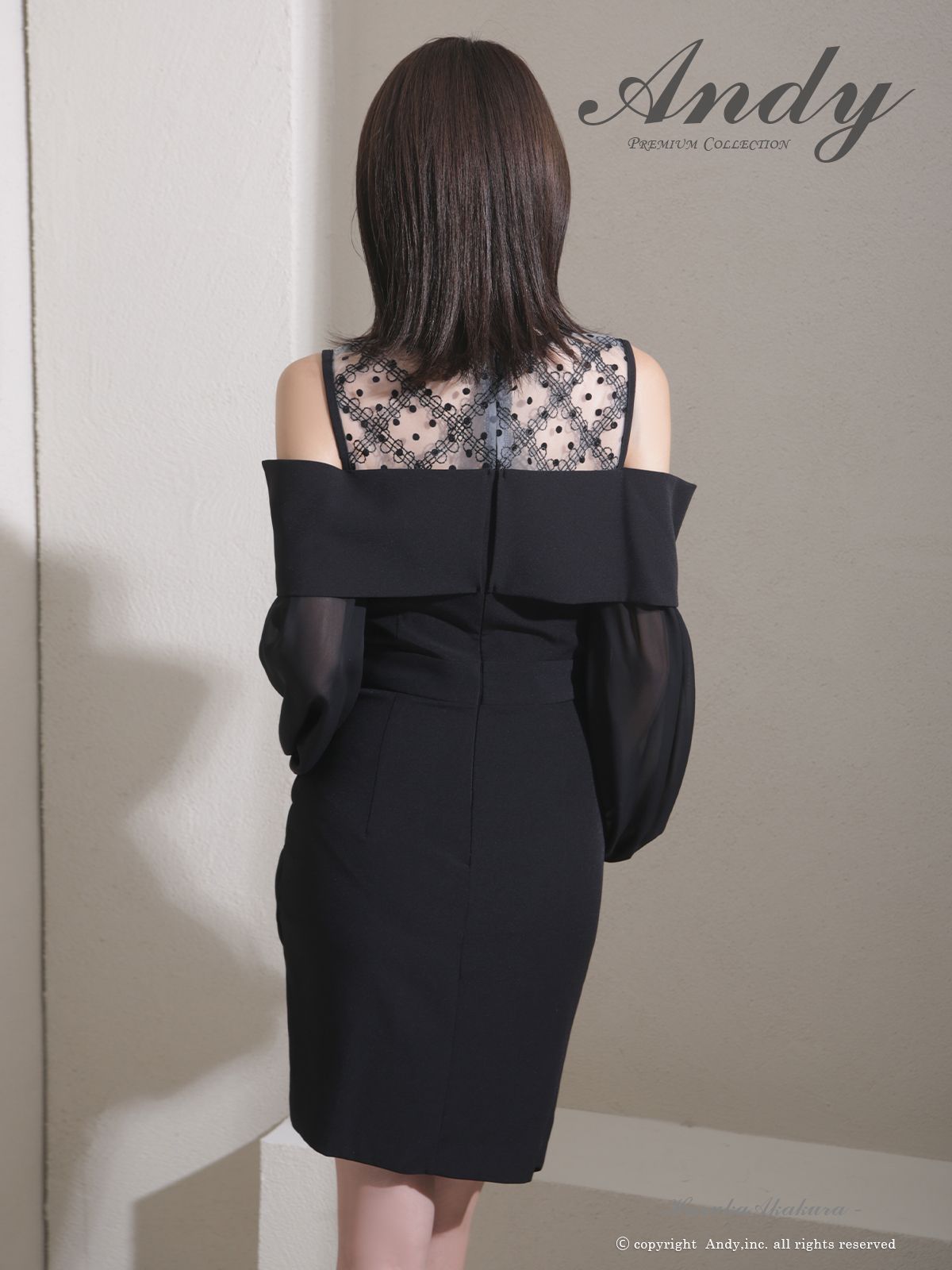 Andy アンディ 高級キャバドレス