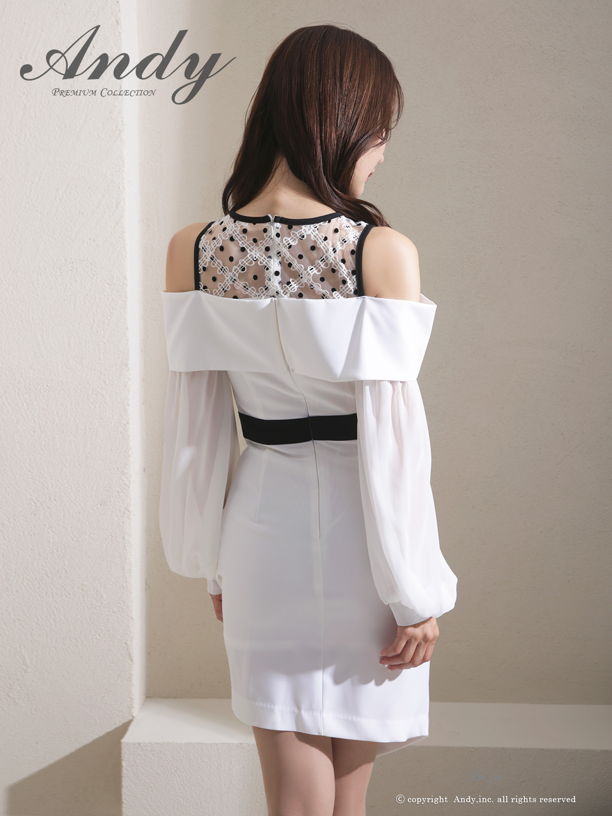 Andy アンディ 高級キャバドレス