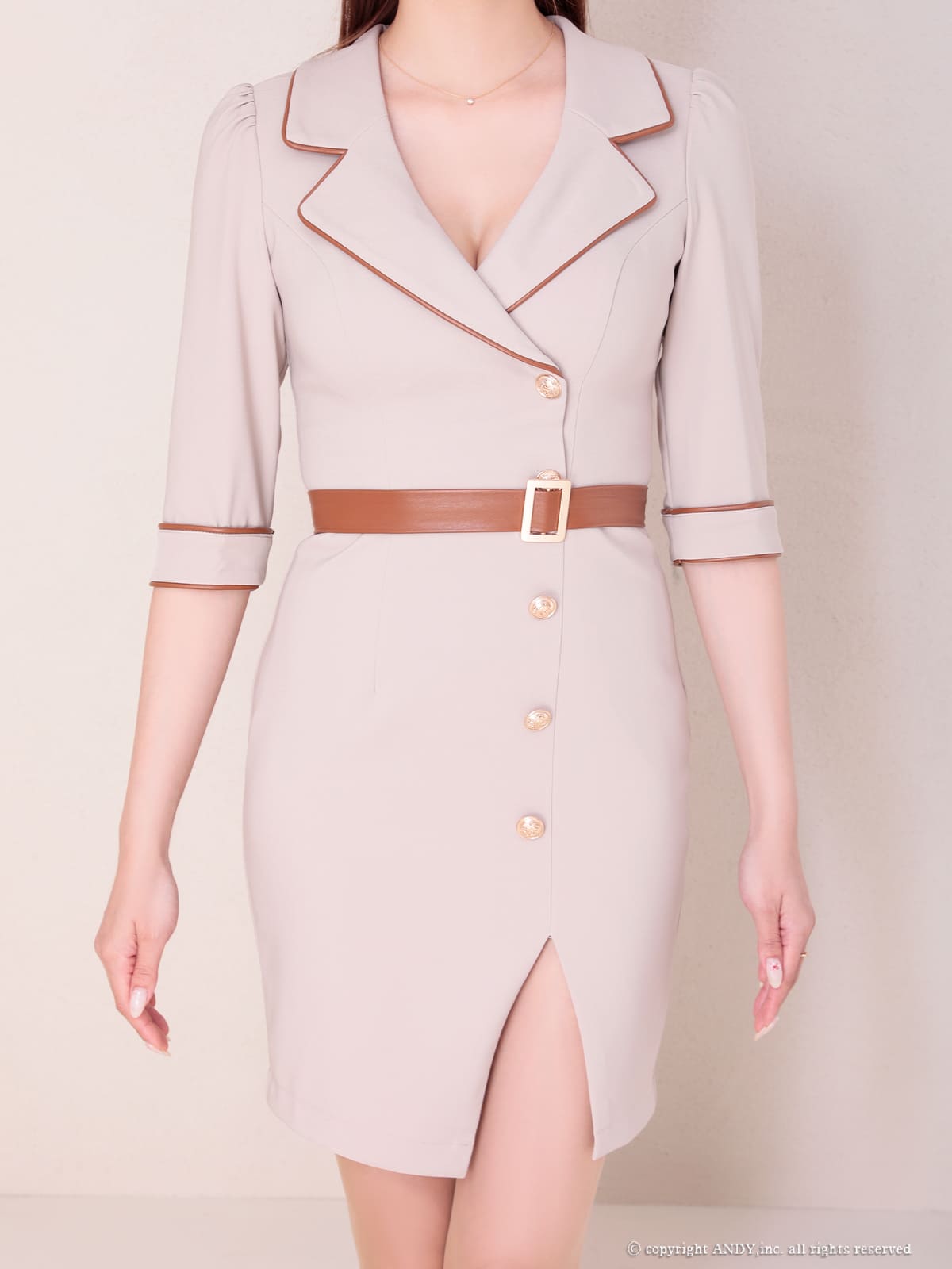 Andy アンディ 高級キャバドレス