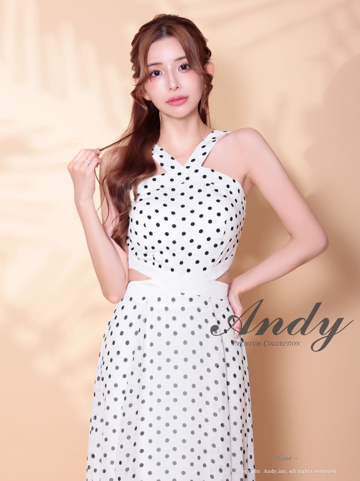 Andy アンディ 高級キャバドレス