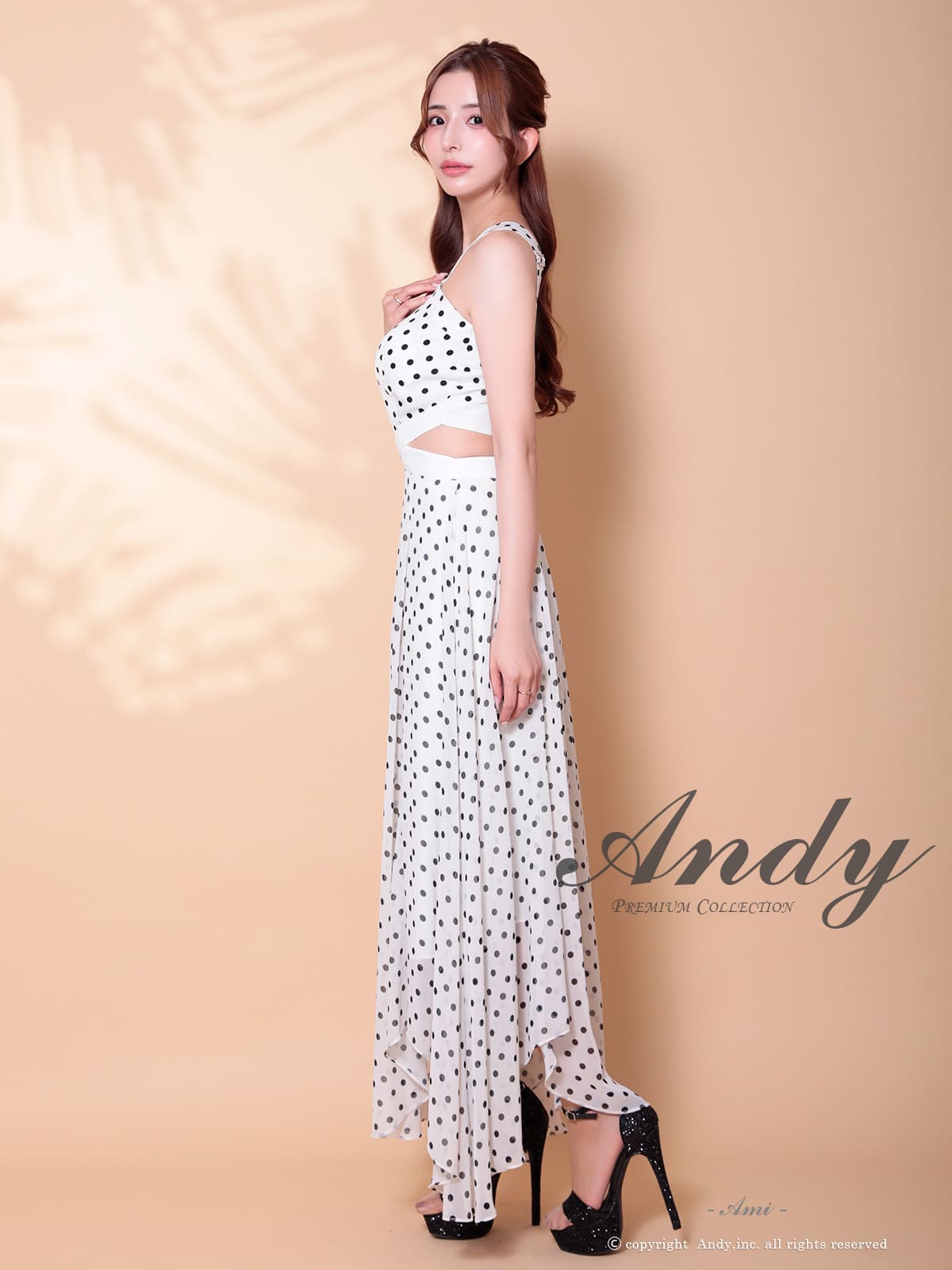 Andy アンディ 高級キャバドレス