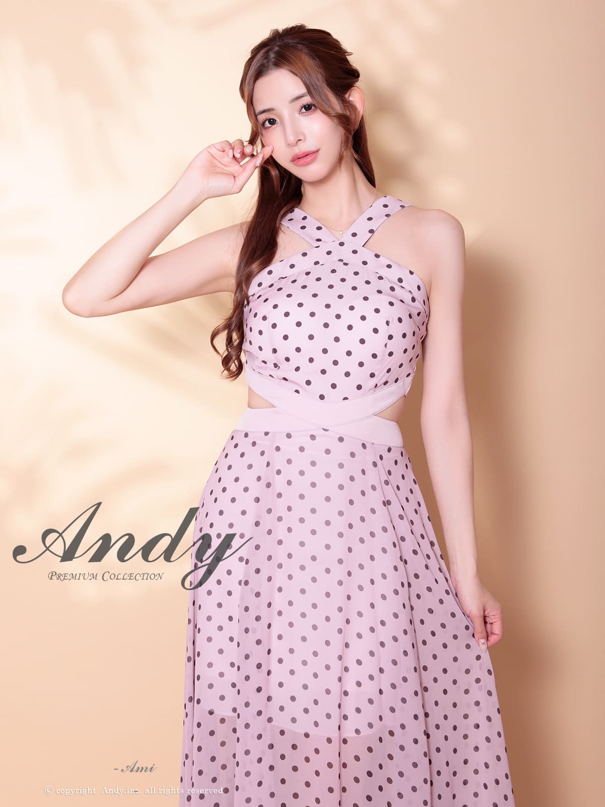 Andy アンディ 高級キャバドレス