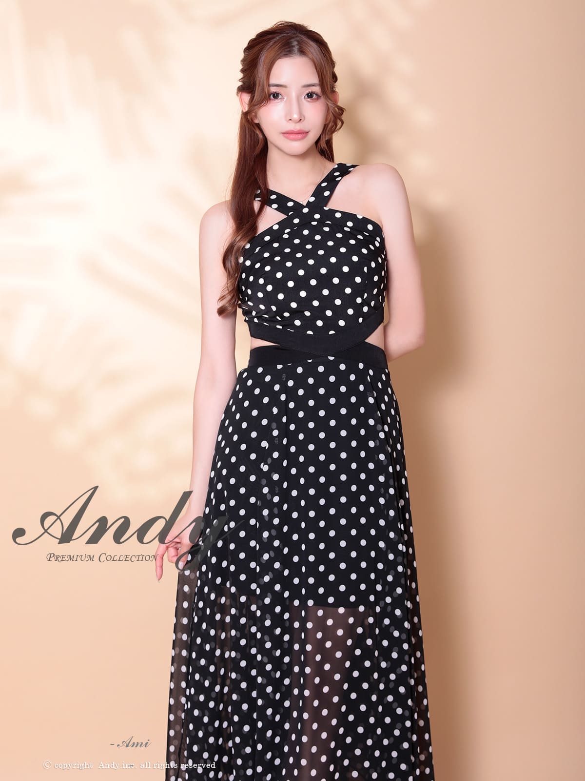 Andy アンディ 高級キャバドレス