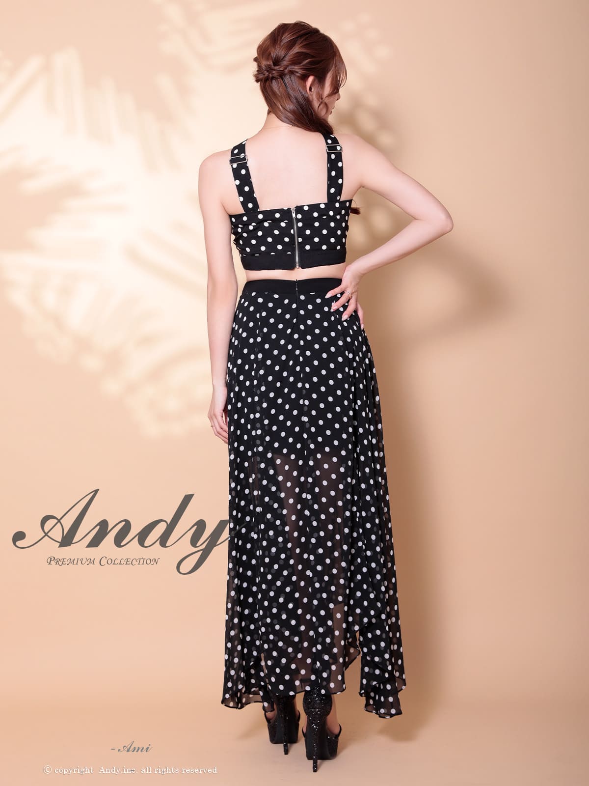 Andy アンディ 高級キャバドレス