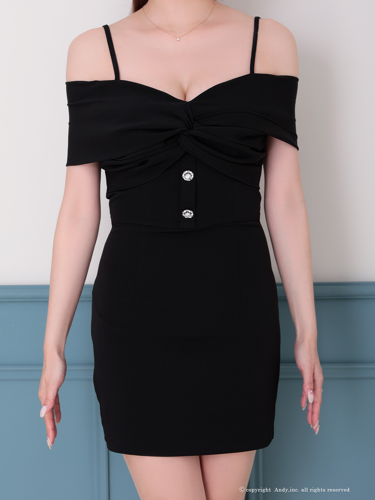 Andy アンディ 高級キャバドレス