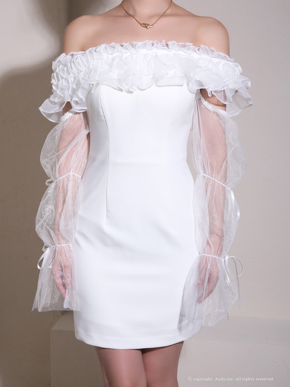 Andy アンディ 高級キャバドレス