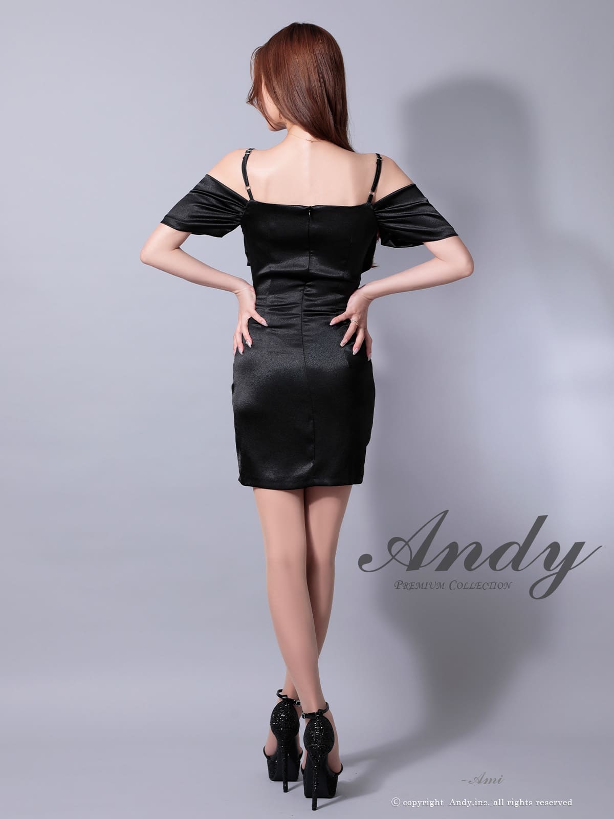 Andy アンディ 高級キャバドレス