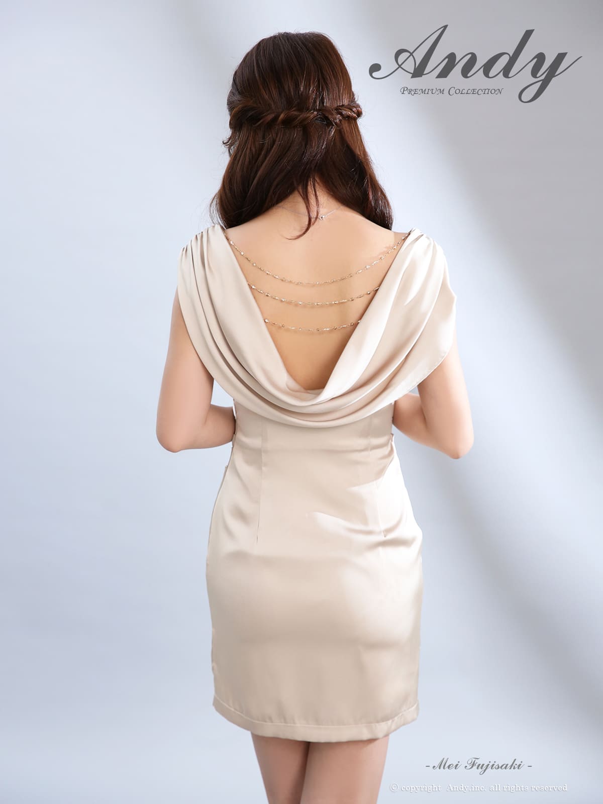Andy アンディ 高級キャバドレス