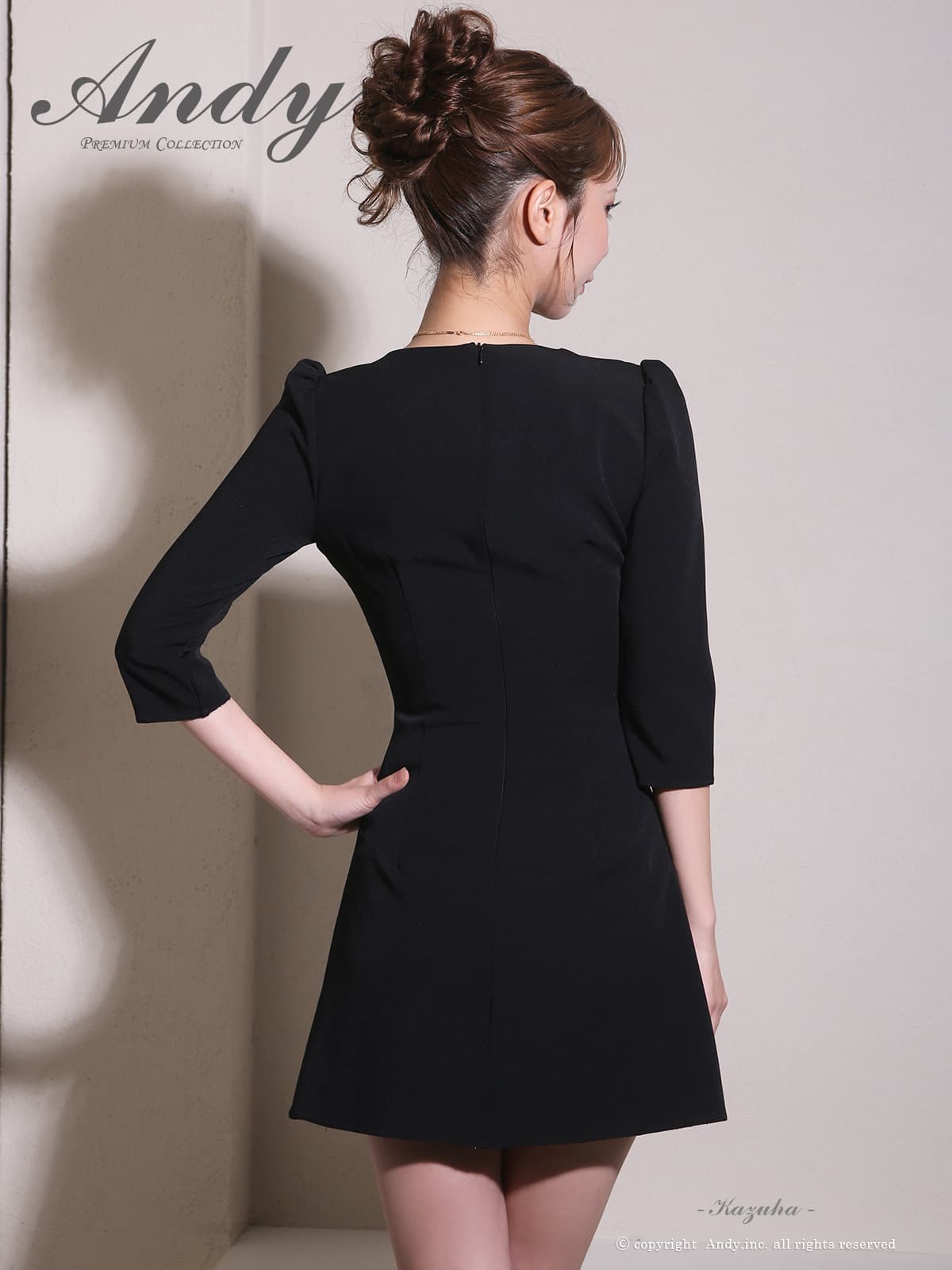 Andy アンディ 高級キャバドレス