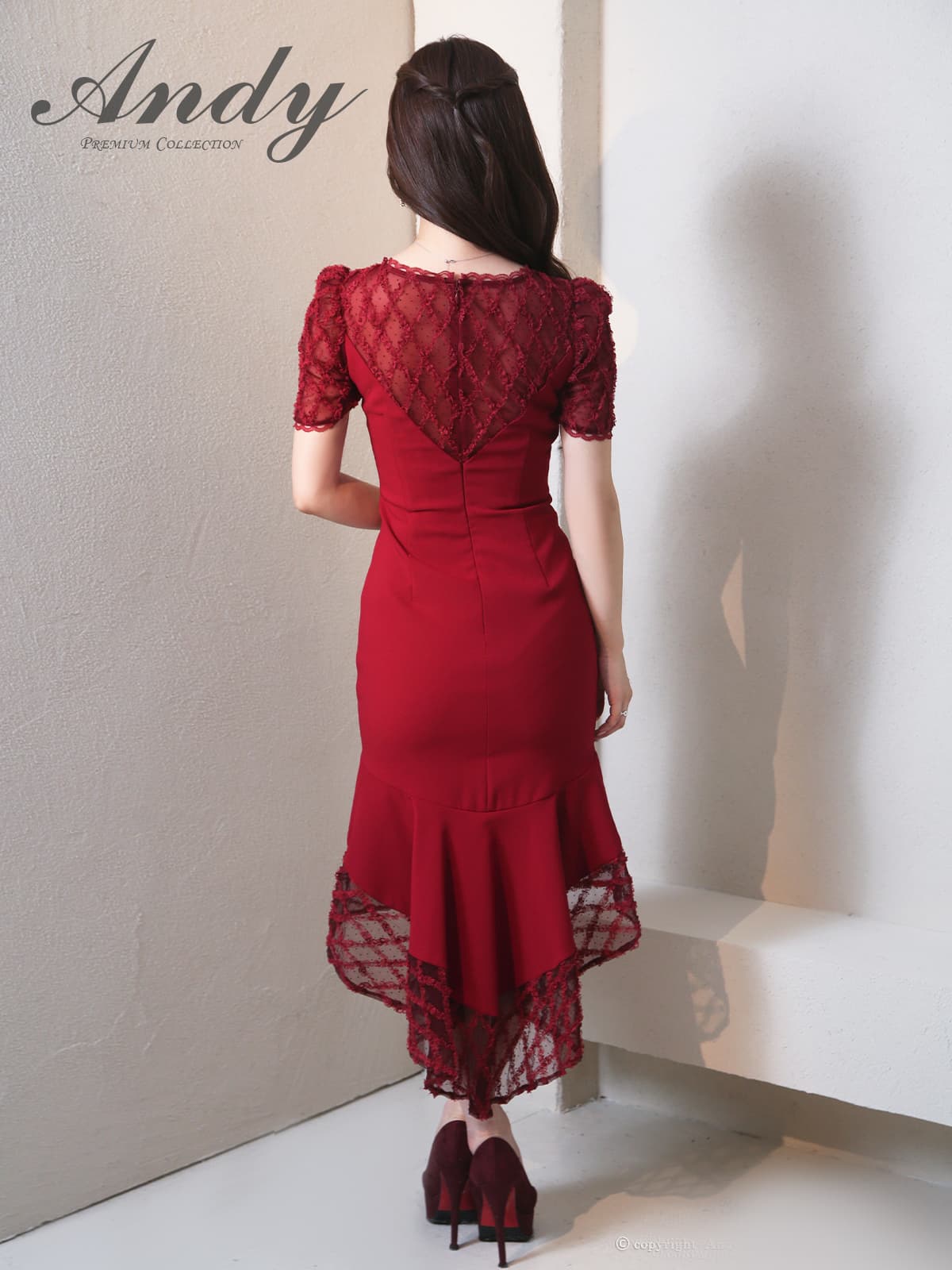 Andy アンディ 高級キャバドレス