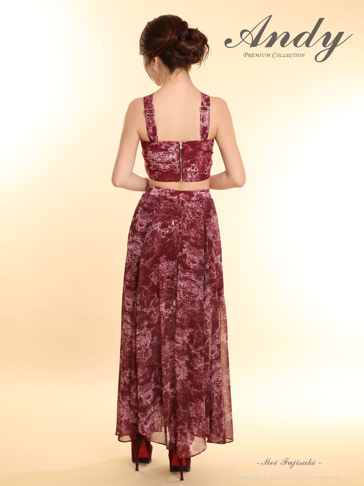 Andy アンディ 高級キャバドレス