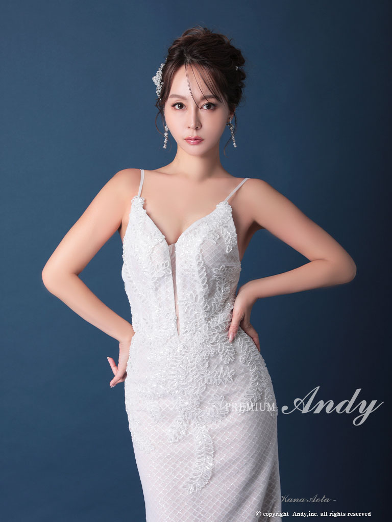 Andy アンディ 高級キャバドレス