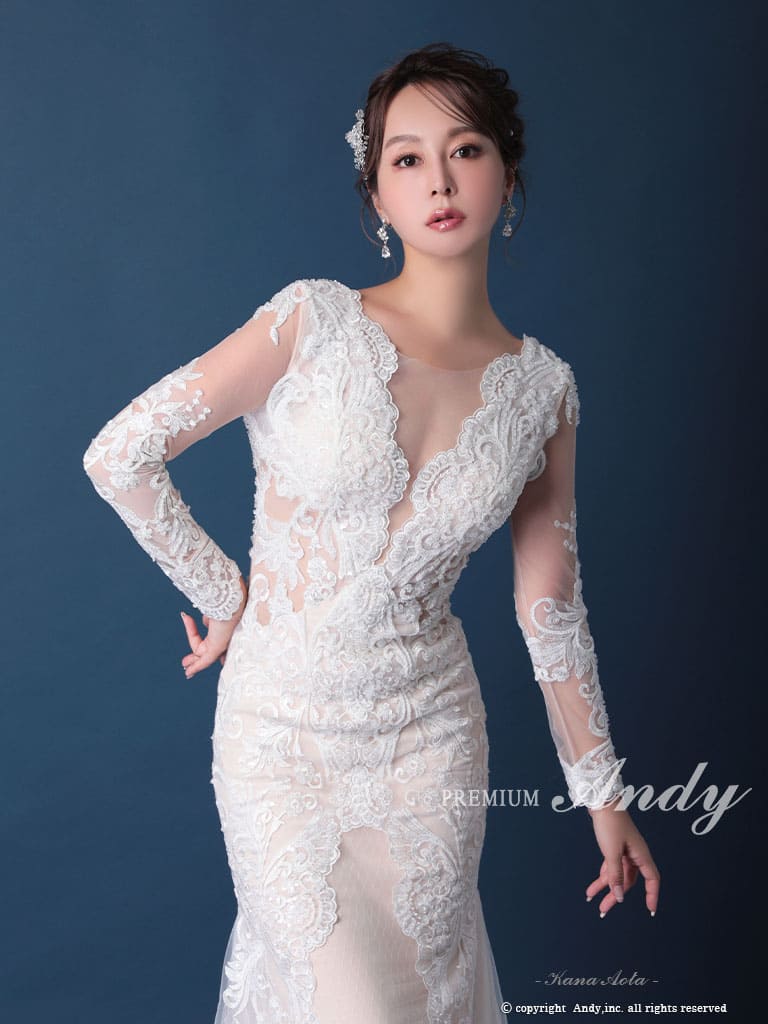 Andy アンディ 高級キャバドレス