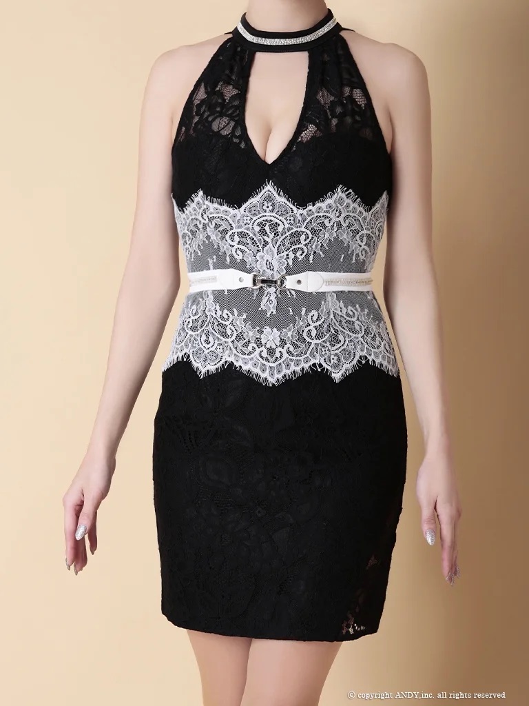Andy アンディ 高級キャバドレス