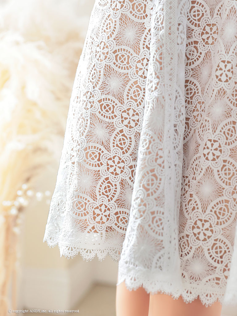 Andy アンディ 高級キャバドレス