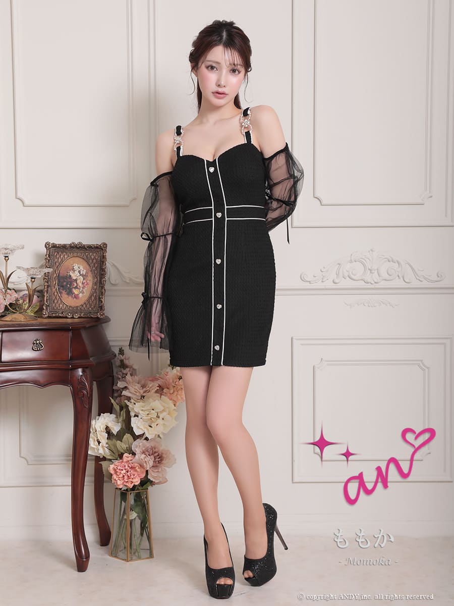 Andy アンディ 高級キャバドレス