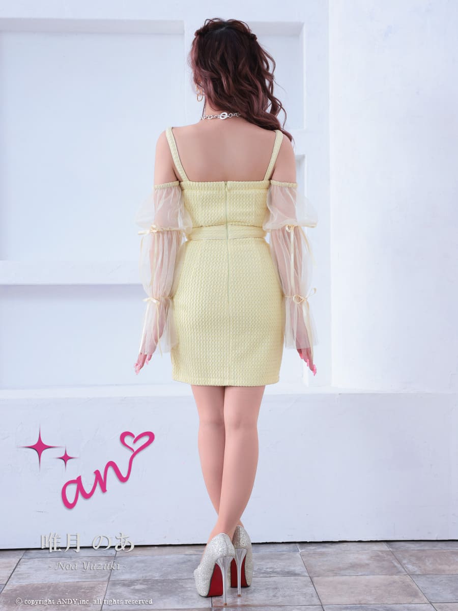 Andy アンディ 高級キャバドレス