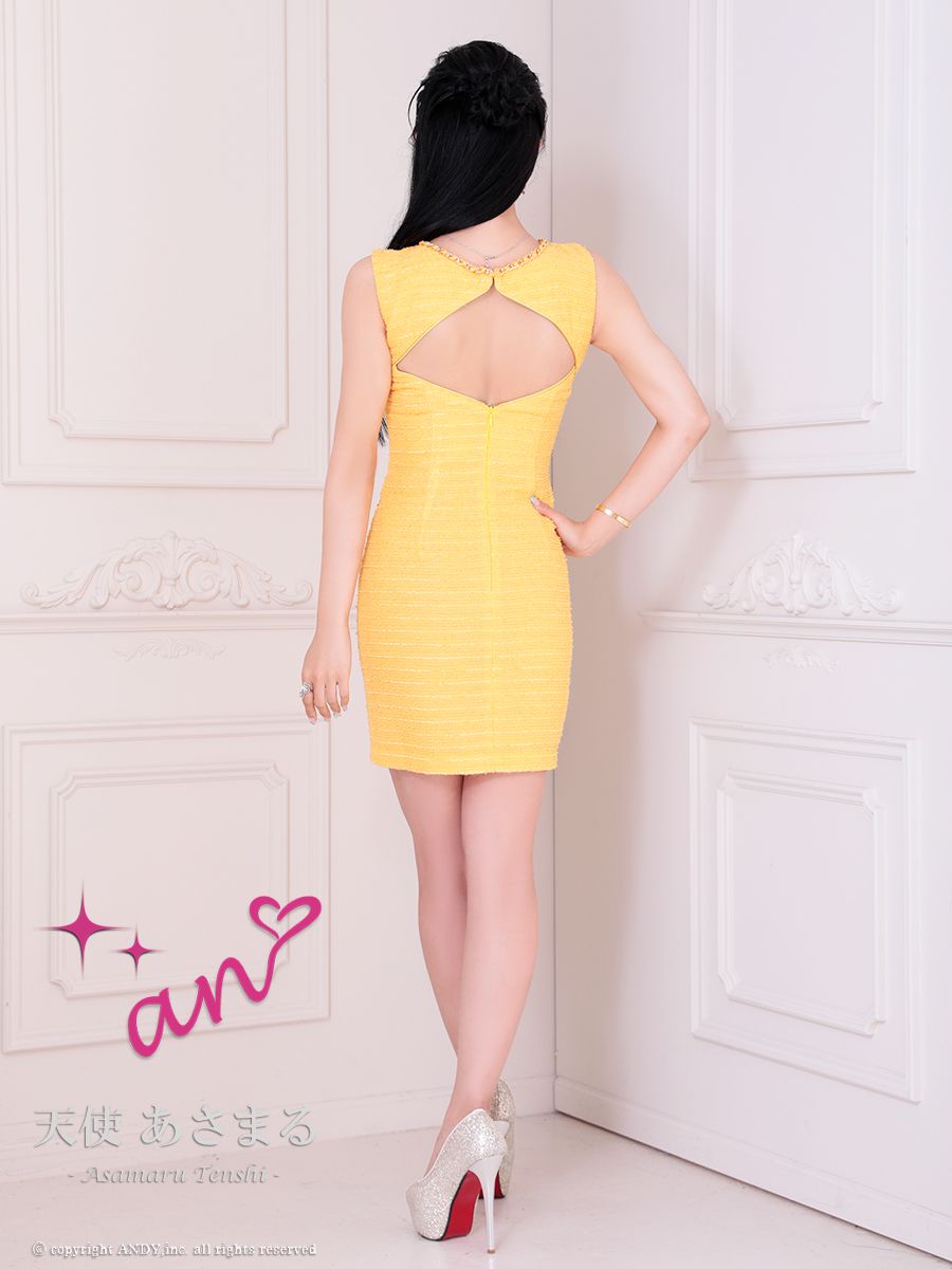 Andy アンディ 高級キャバドレス
