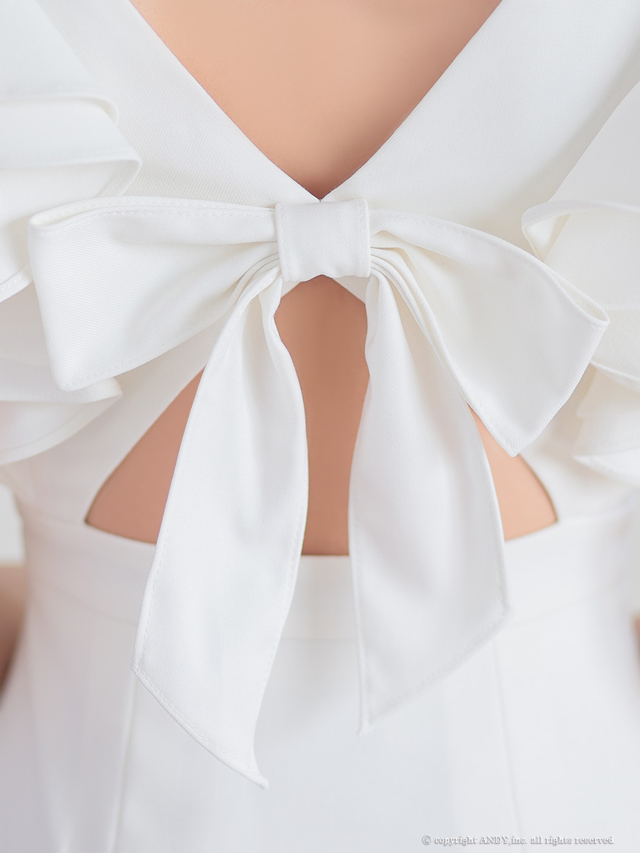 Andy アンディ 高級キャバドレス