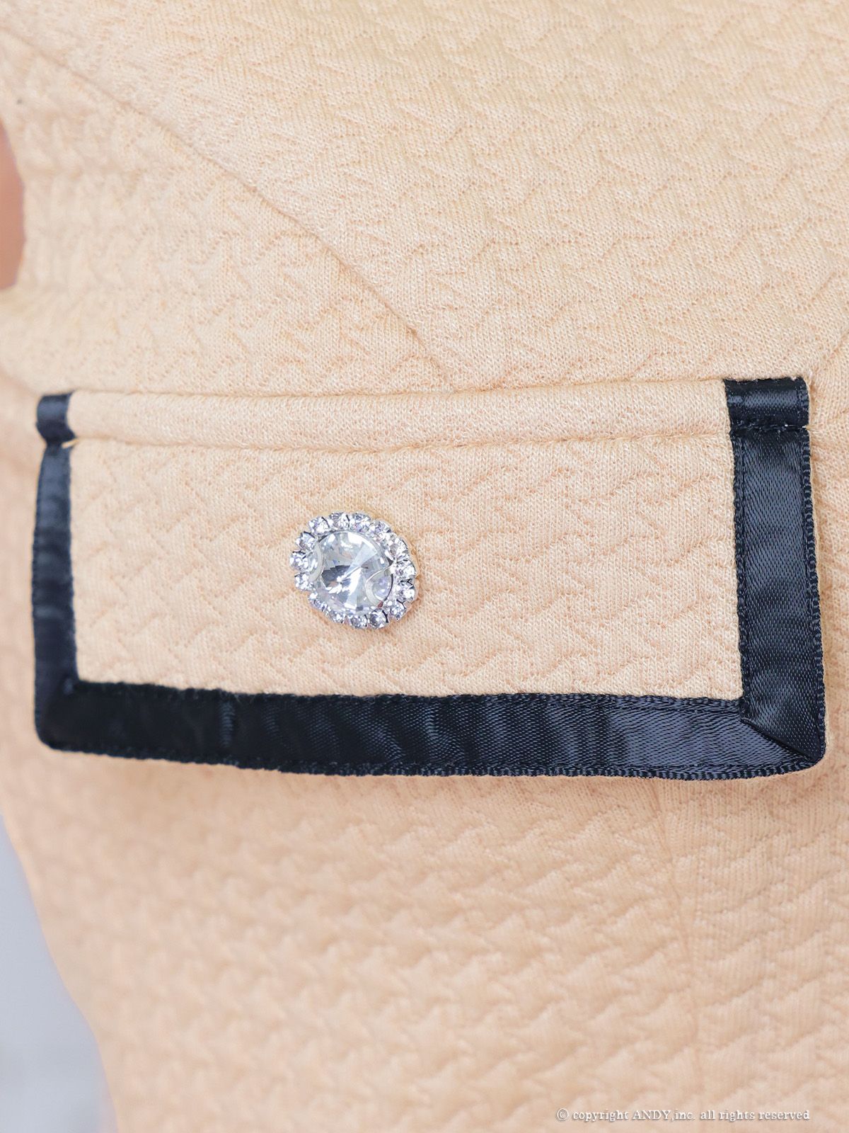 Andy アンディ 高級キャバドレス