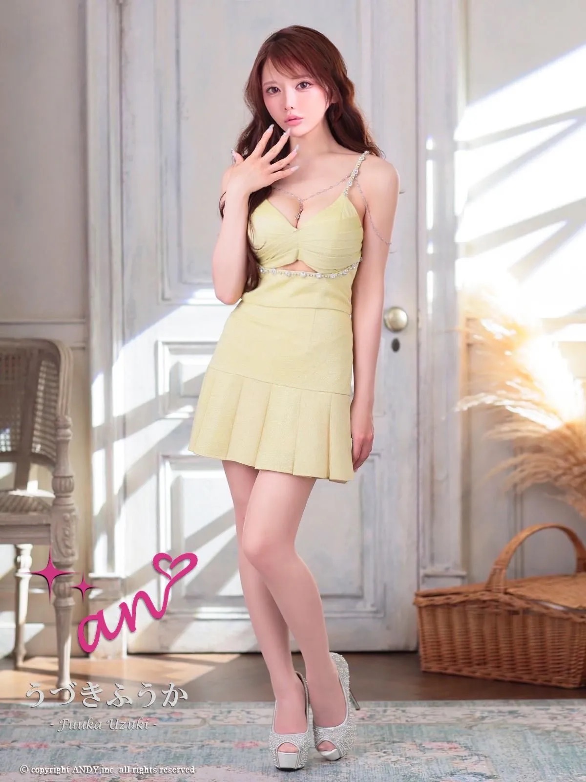 Andy アンディ 高級キャバドレス