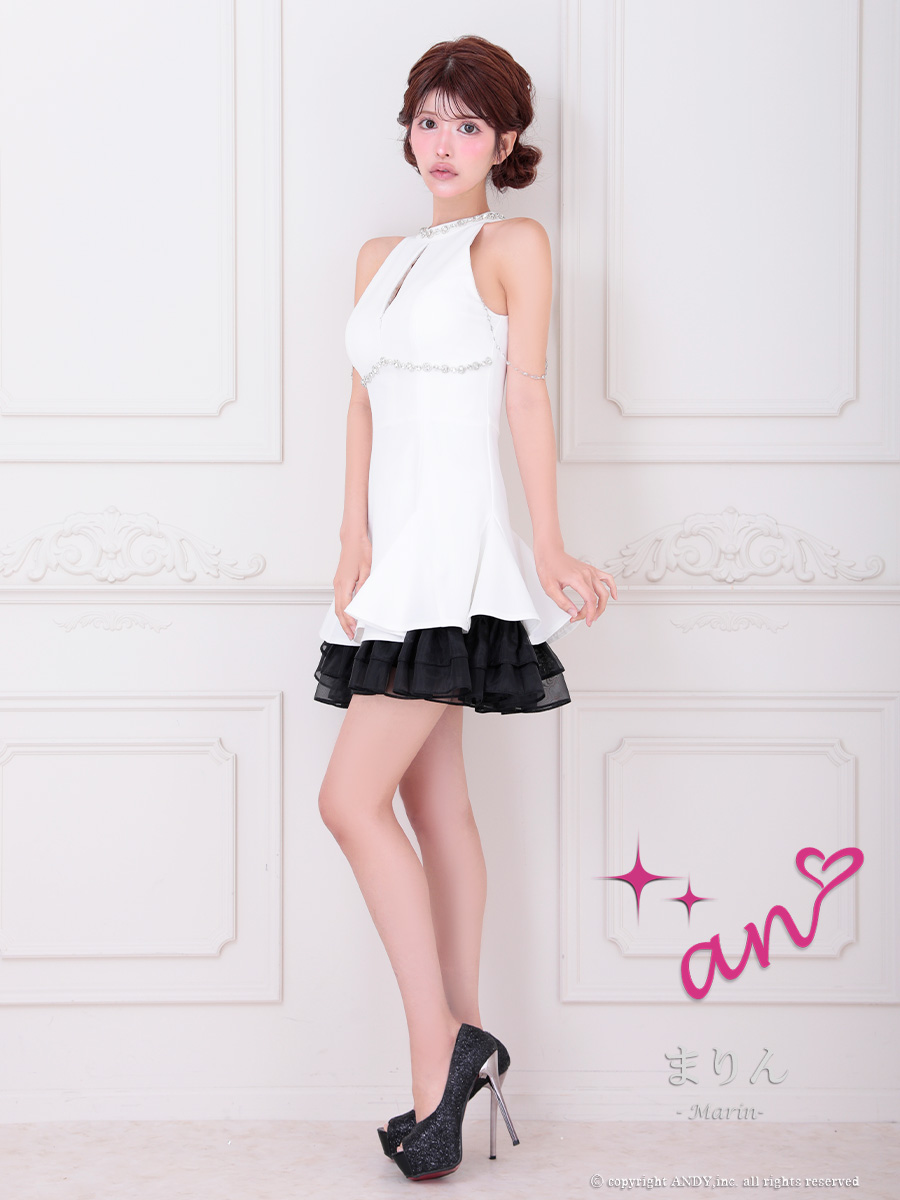 Andy アンディ 高級キャバドレス