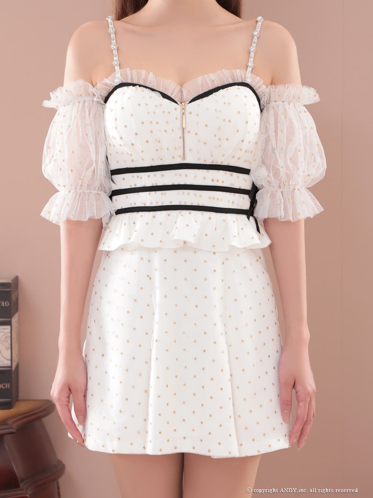 Andy アンディ 高級キャバドレス