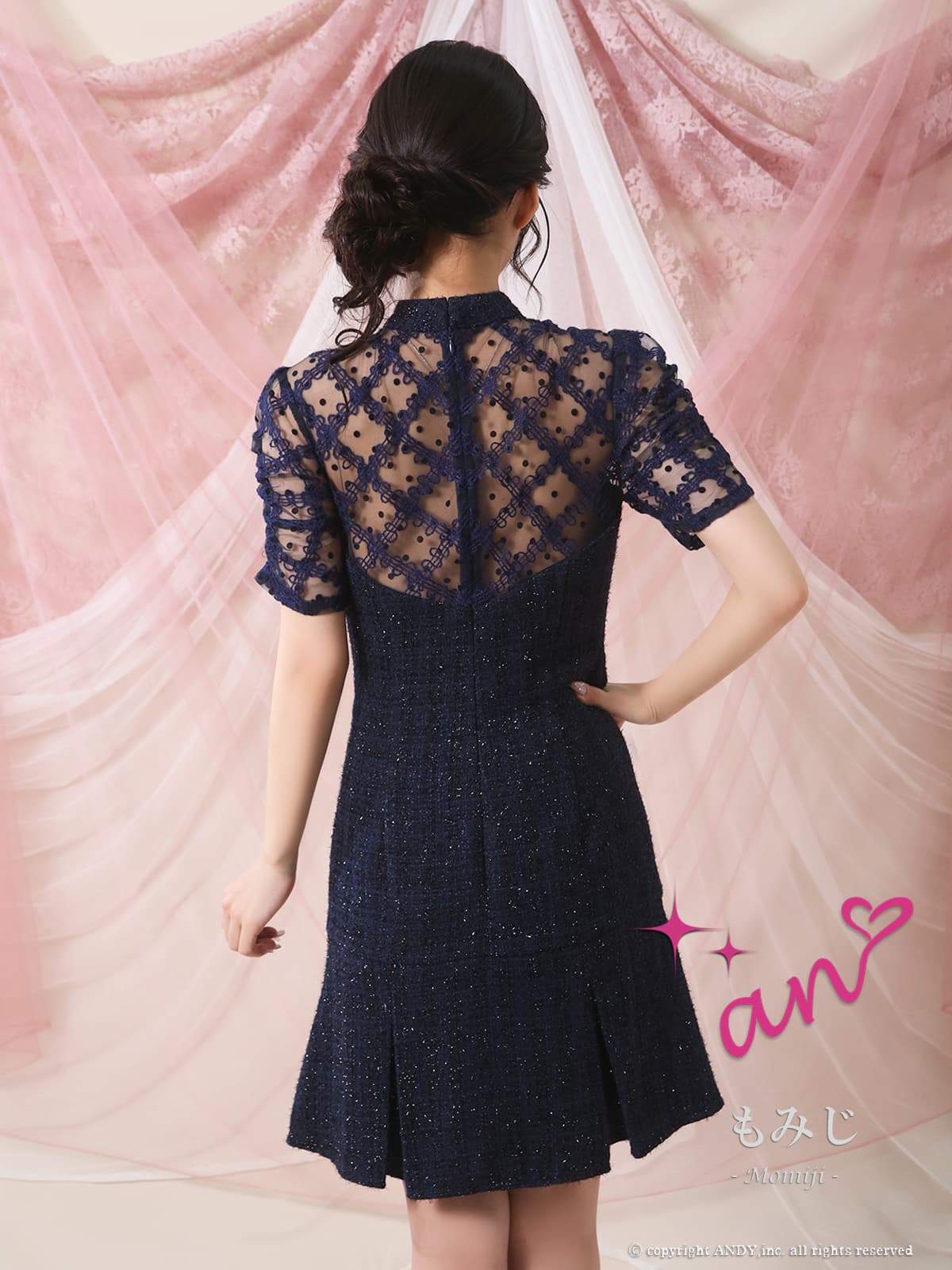 Andy アンディ 高級キャバドレス