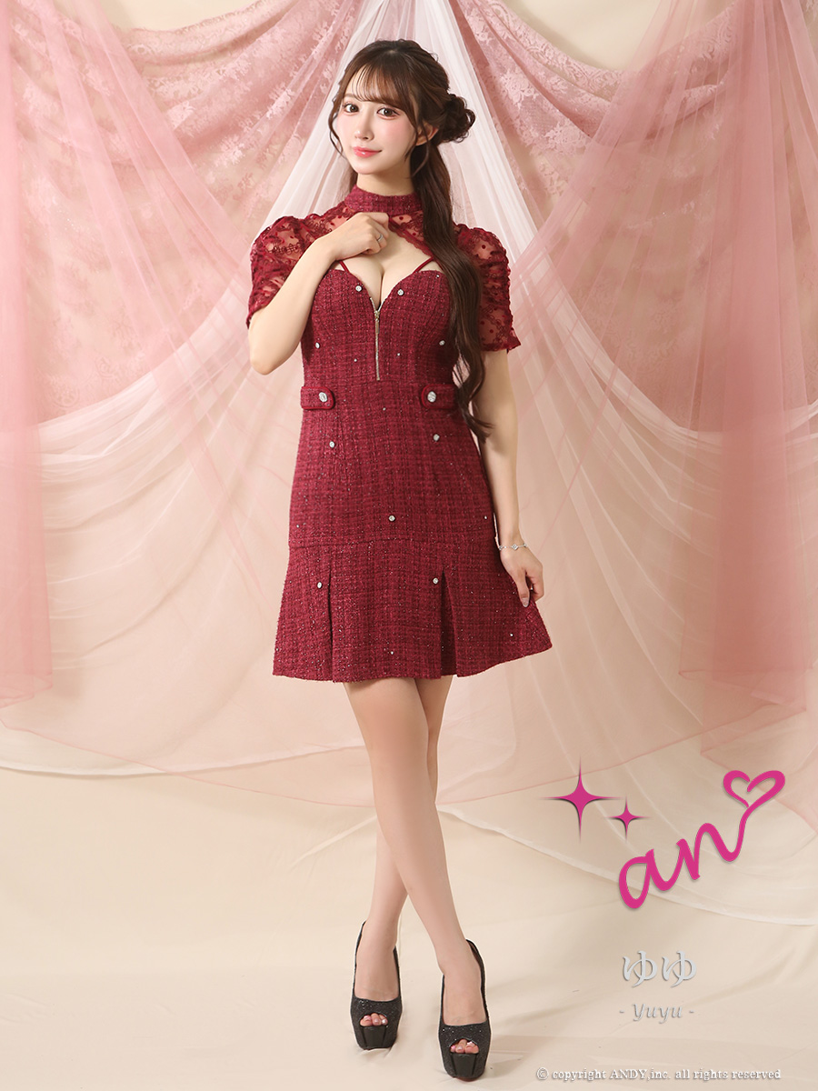 Andy アンディ 高級キャバドレス