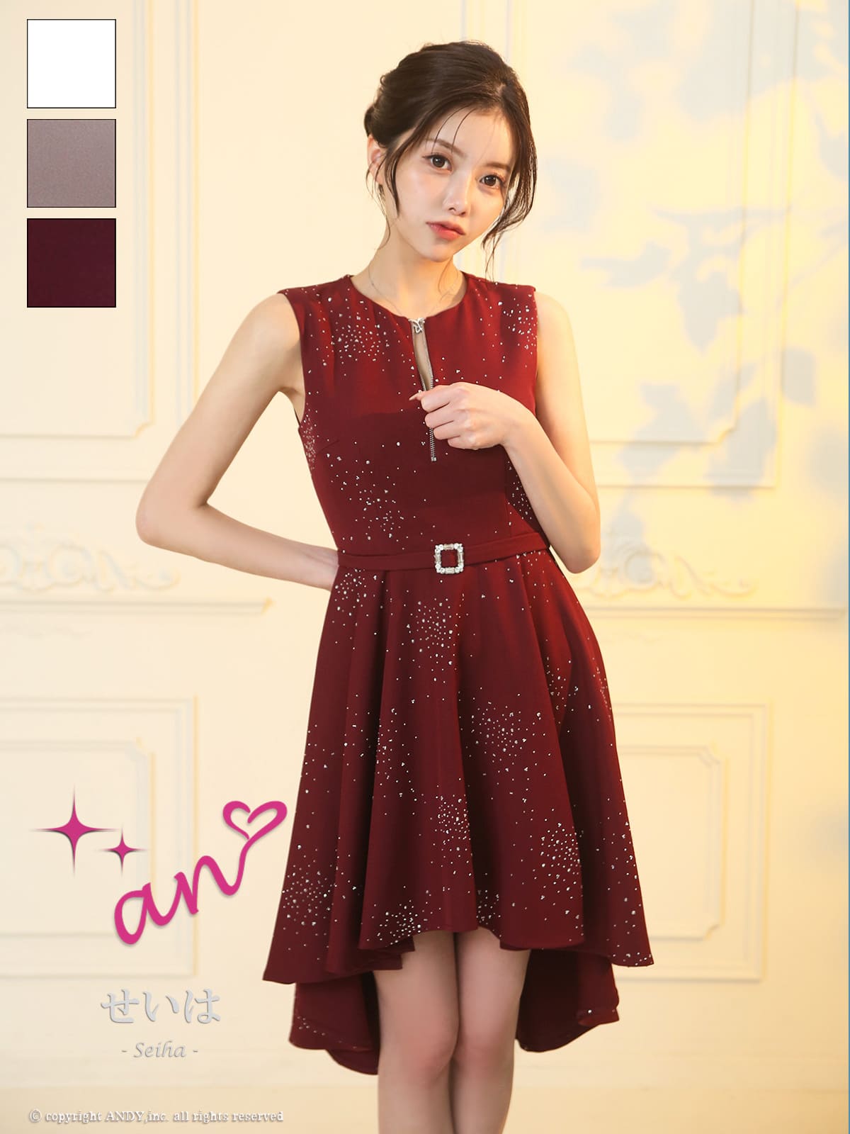 Andy アンディ 高級キャバドレス