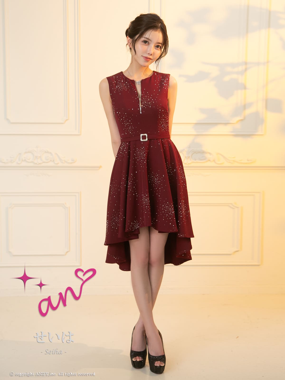 Andy アンディ 高級キャバドレス