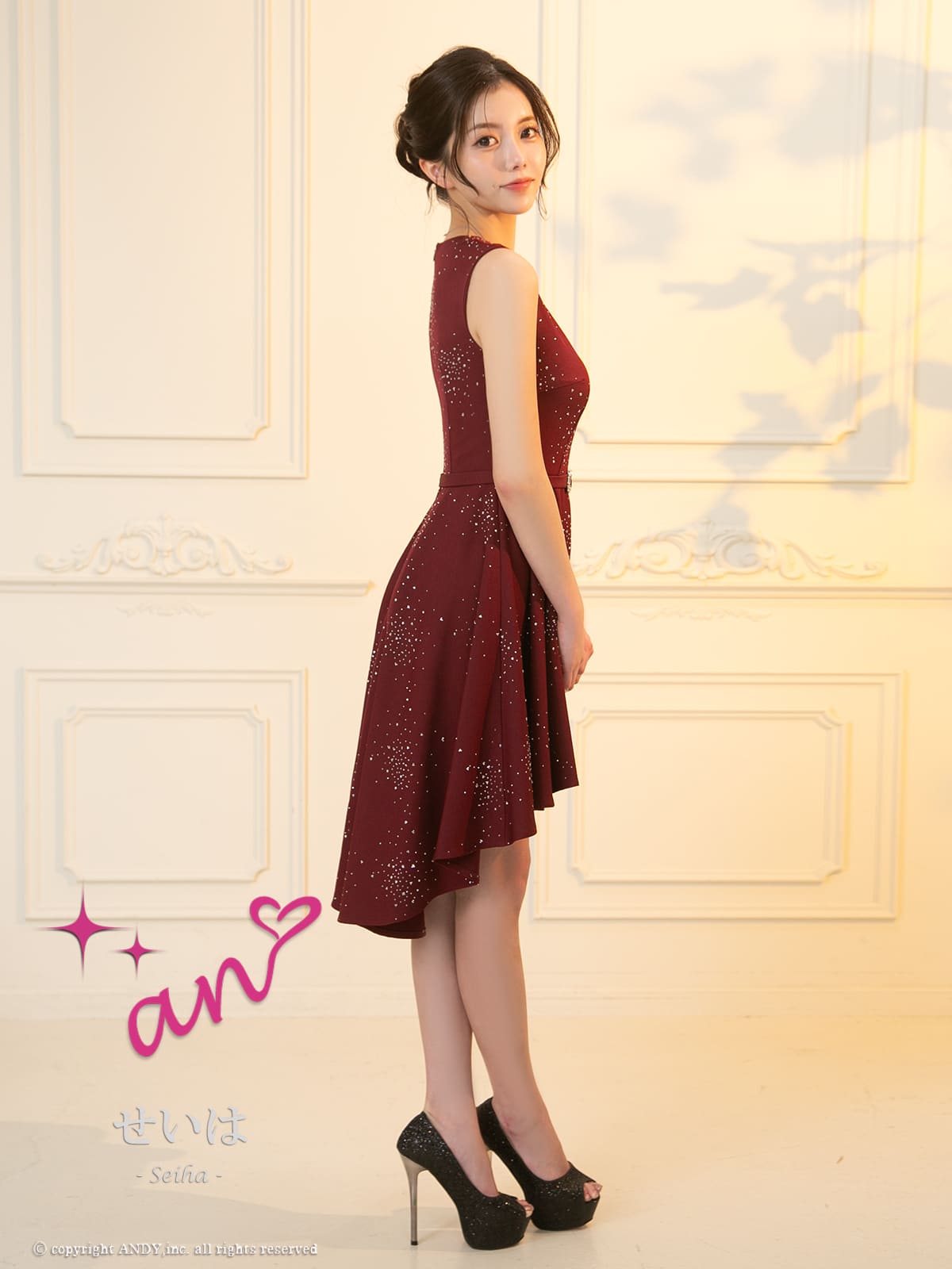 Andy アンディ 高級キャバドレス