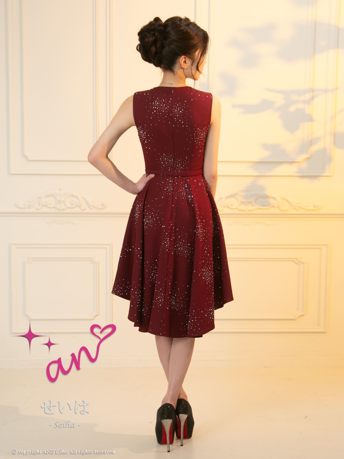 Andy アンディ 高級キャバドレス