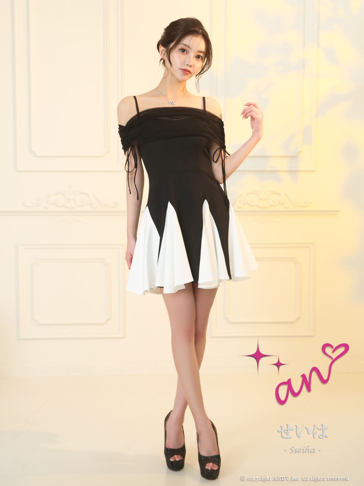 Andy アンディ 高級キャバドレス