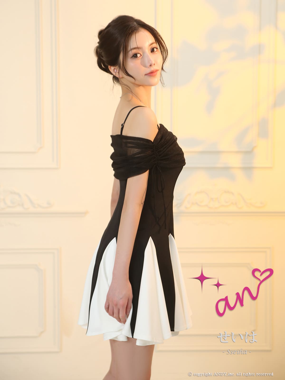 Andy アンディ 高級キャバドレス