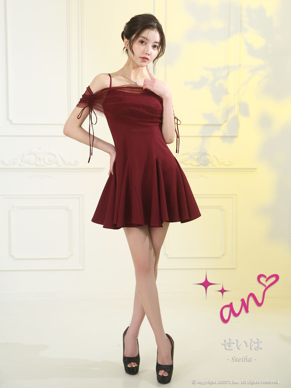 Andy アンディ 高級キャバドレス