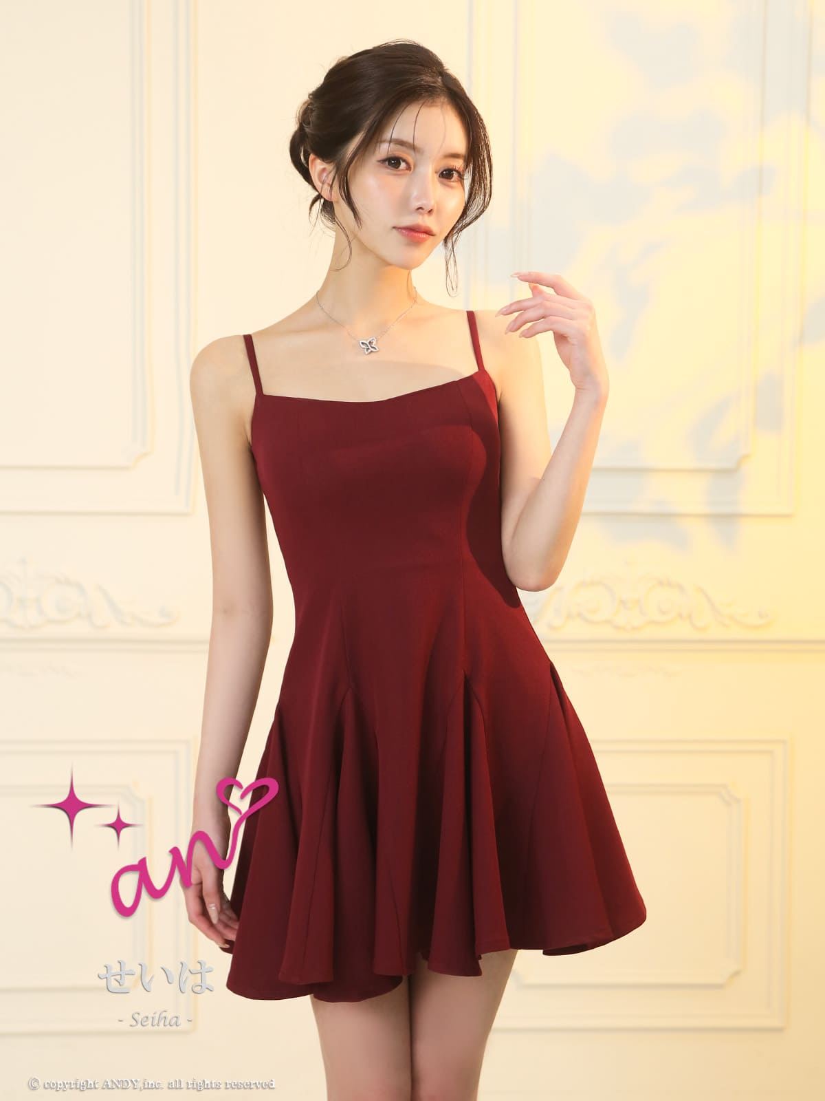 Andy アンディ 高級キャバドレス