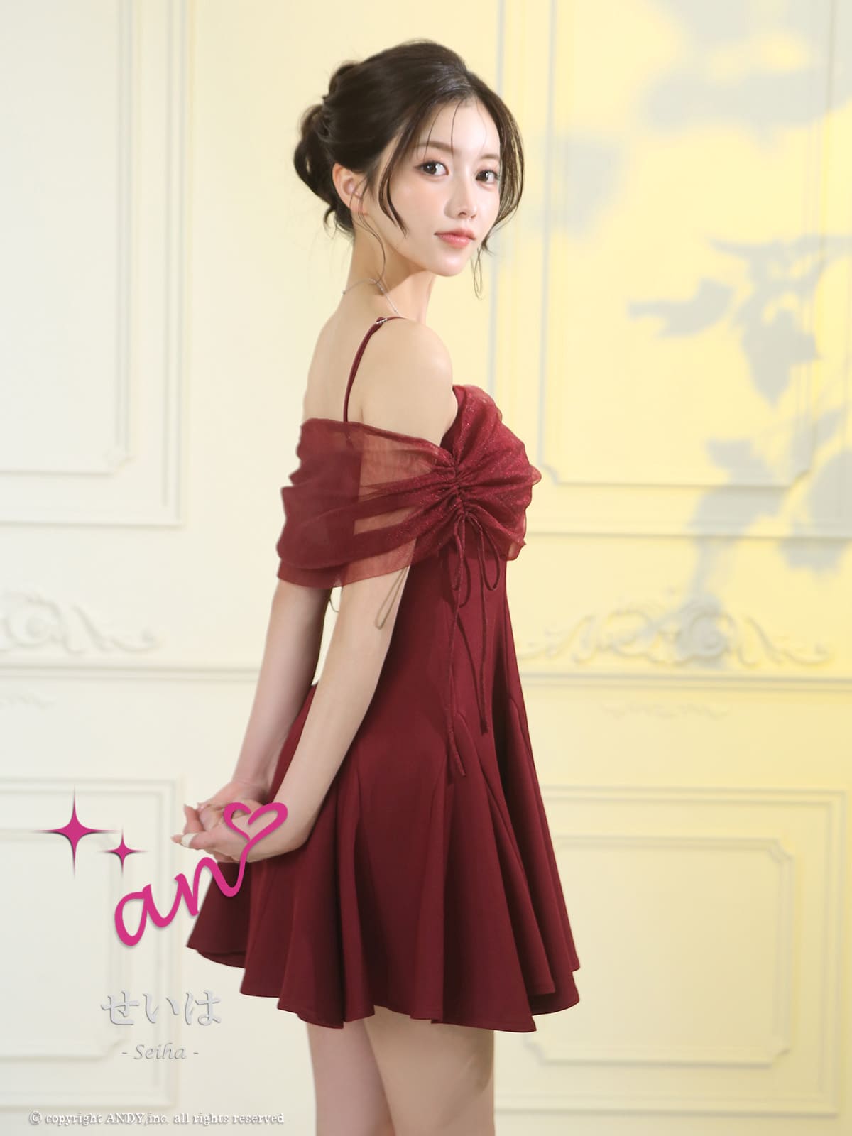 Andy アンディ 高級キャバドレス