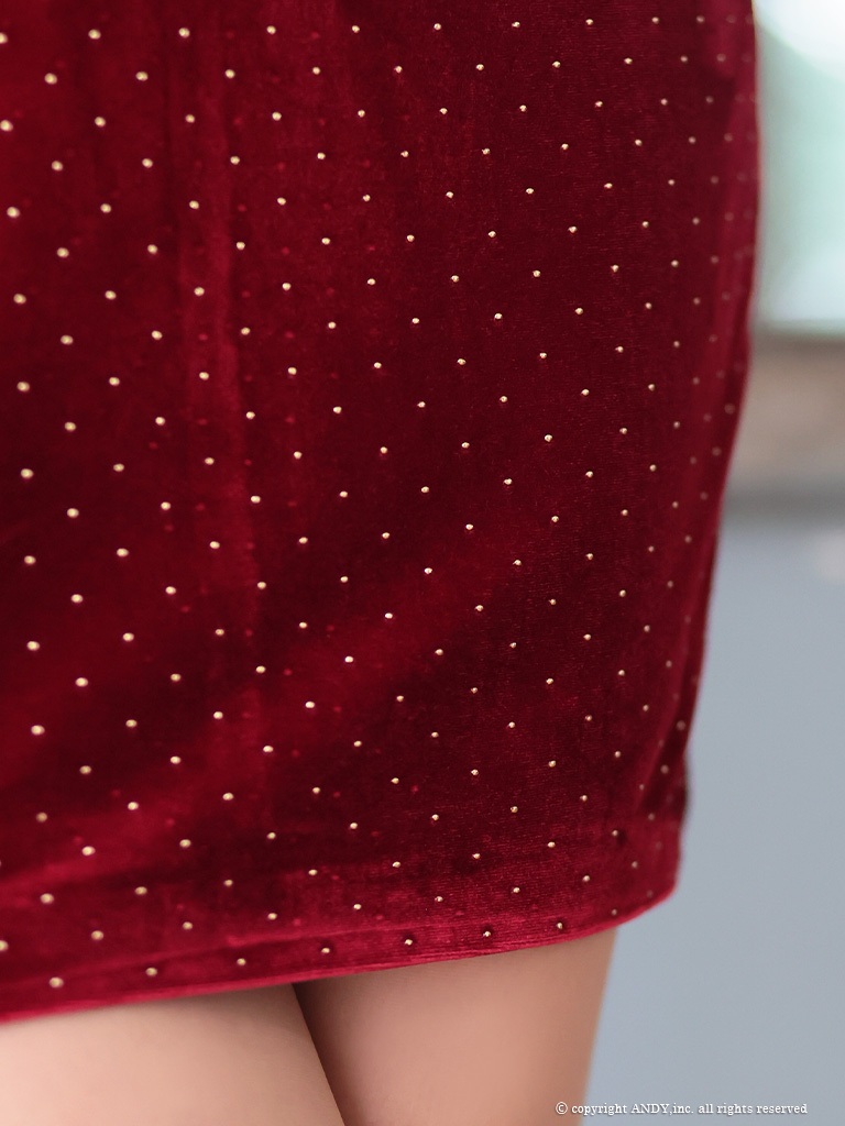 Andy アンディ 高級キャバドレス