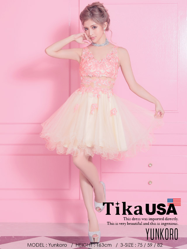 高品質USAドレス Tika ティカフラワー刺繍×贅沢ビジューメッシュチュールミニドレス